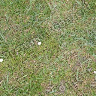 Seamless Grass 0007